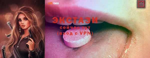 круглые Гусев