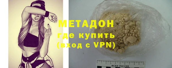 прущие грибы Елабуга