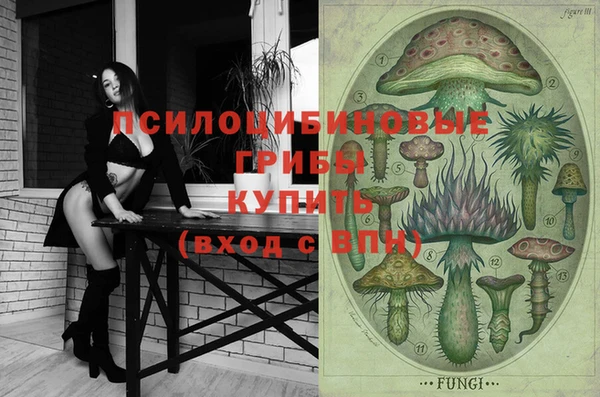 мдпв Елизово