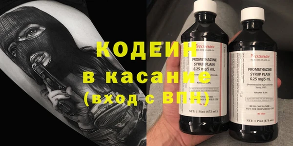 трава Гусиноозёрск