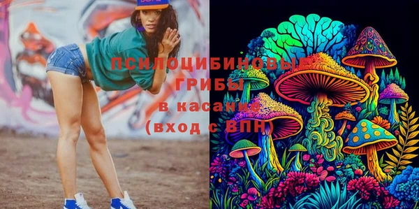 Альфа ПВП Абаза