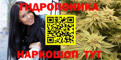 PSILOCYBIN Кингисепп