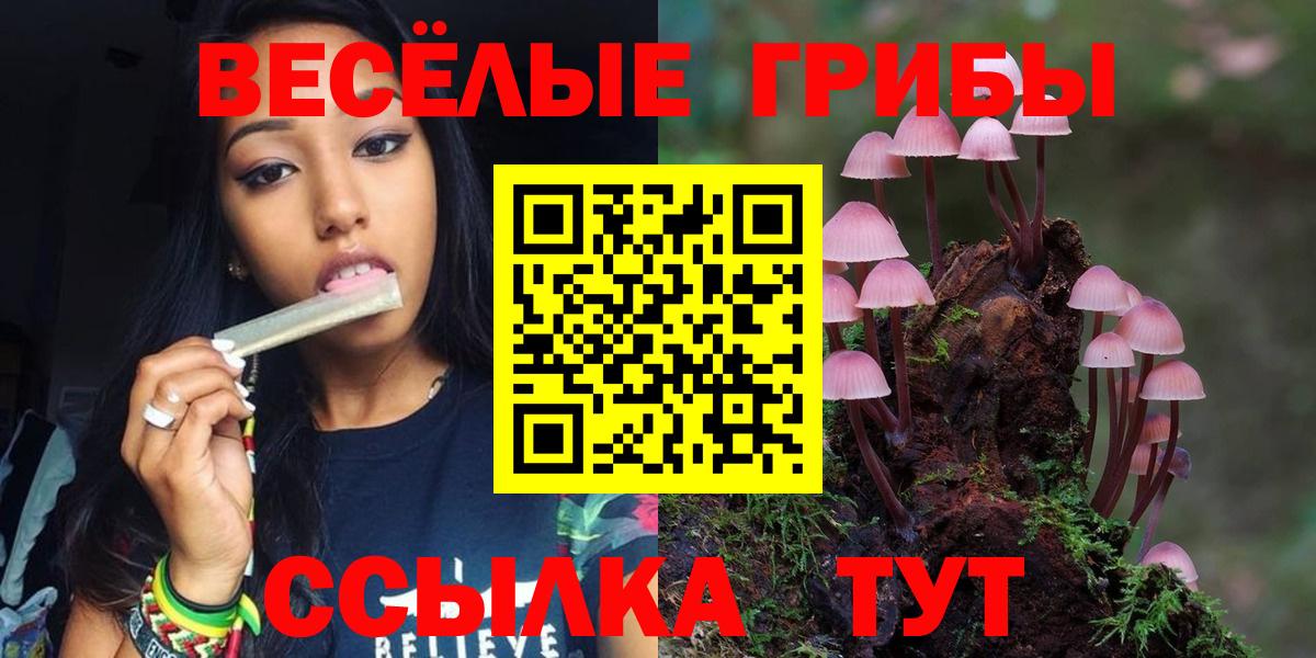 Галлюциногенные грибы Magic Shrooms  Псилоцибиновые грибы GOLDEN TEACHER  Вход с VPN  Нягань 